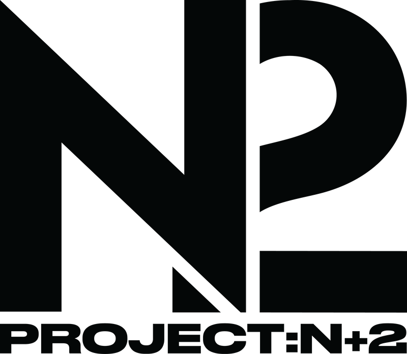 N2 X STREET FIGHTER III: 3RD STRIKE – Project:N2 US Store